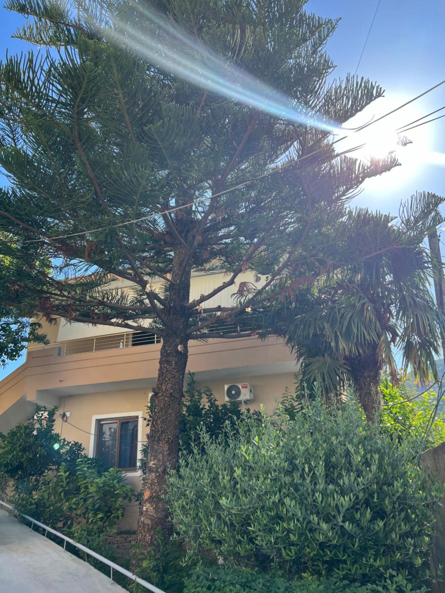 Villa Green Vlore Ngoại thất bức ảnh